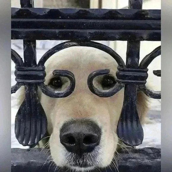 ✅💎Limited  edition “Dreams of Glory” by Stewart Sherwood - Picture 8 of 10